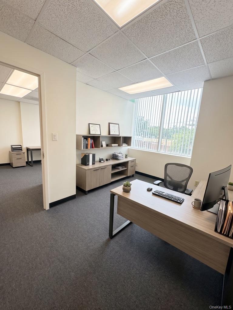 217 Merrick Road, Unit 212 photo 10