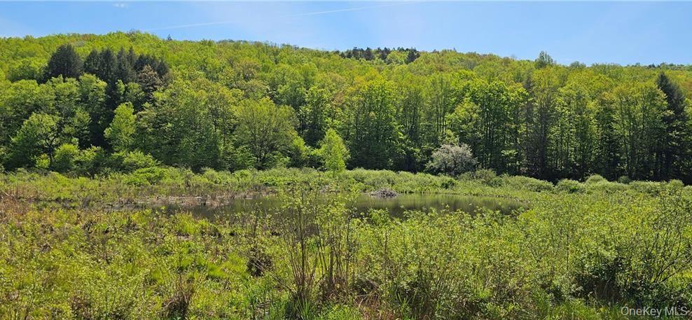 9003 County Hwy 28 – For Sale photo 27