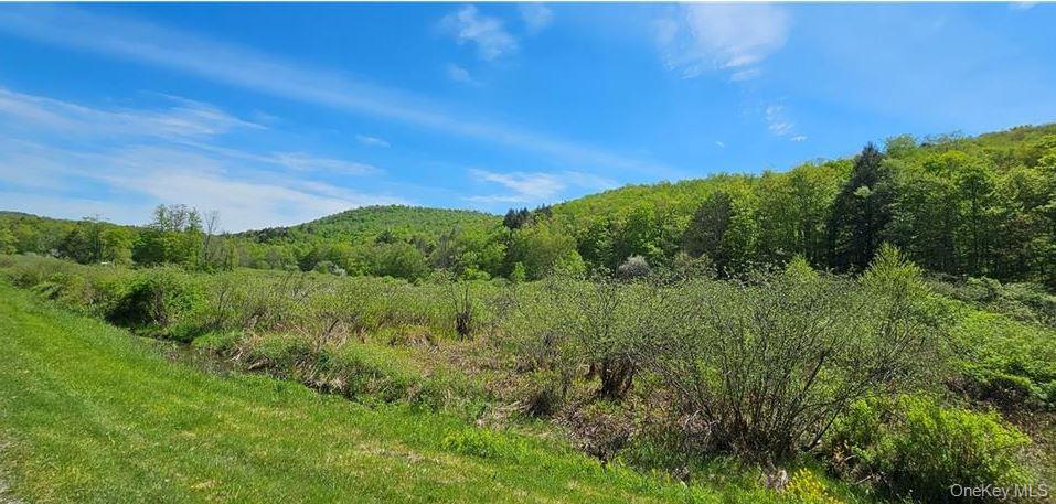 9003 County Hwy 28 – For Sale photo 26