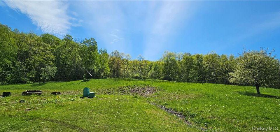 9003 County Hwy 28 – For Sale photo 24