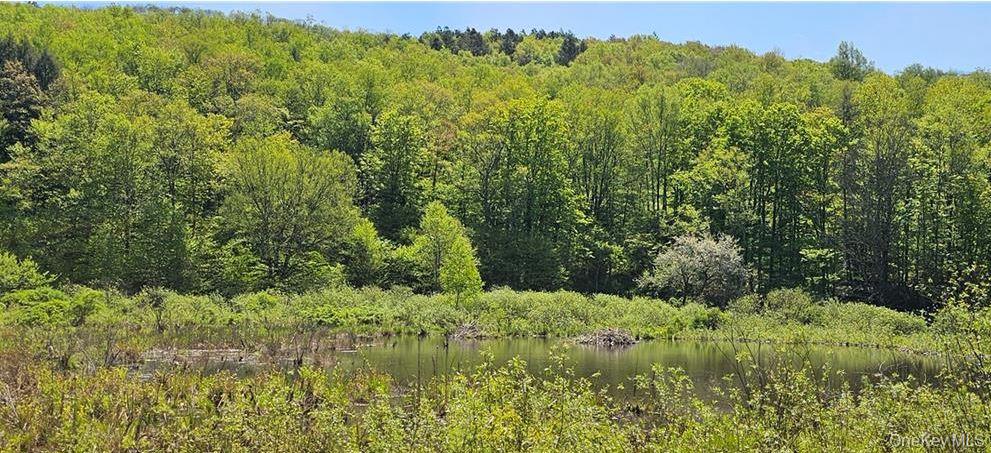 9003 County Hwy 28 – For Sale photo 28