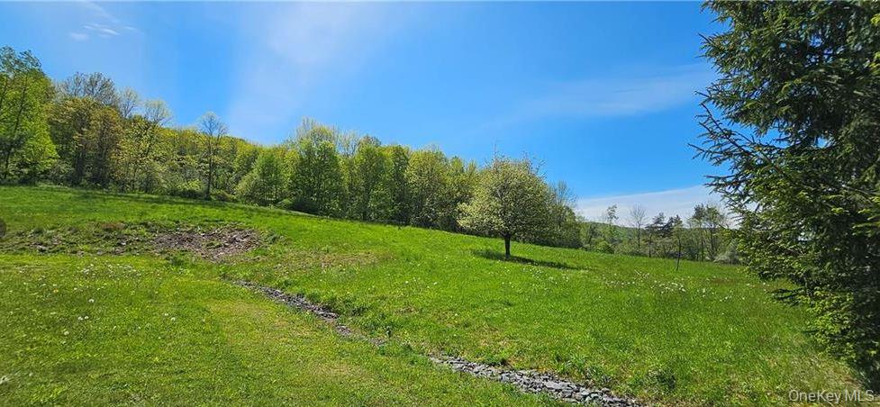 9003 County Hwy 28 – For Sale photo 23