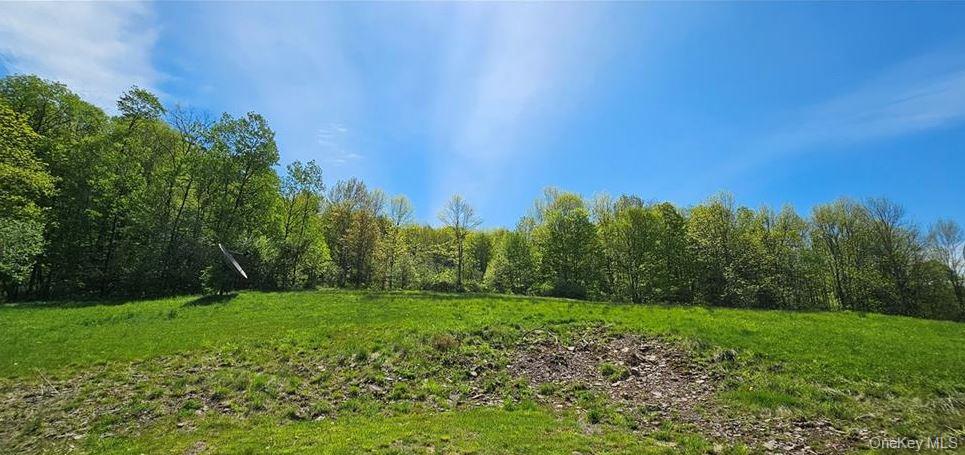9003 County Hwy 28 – For Sale photo 25