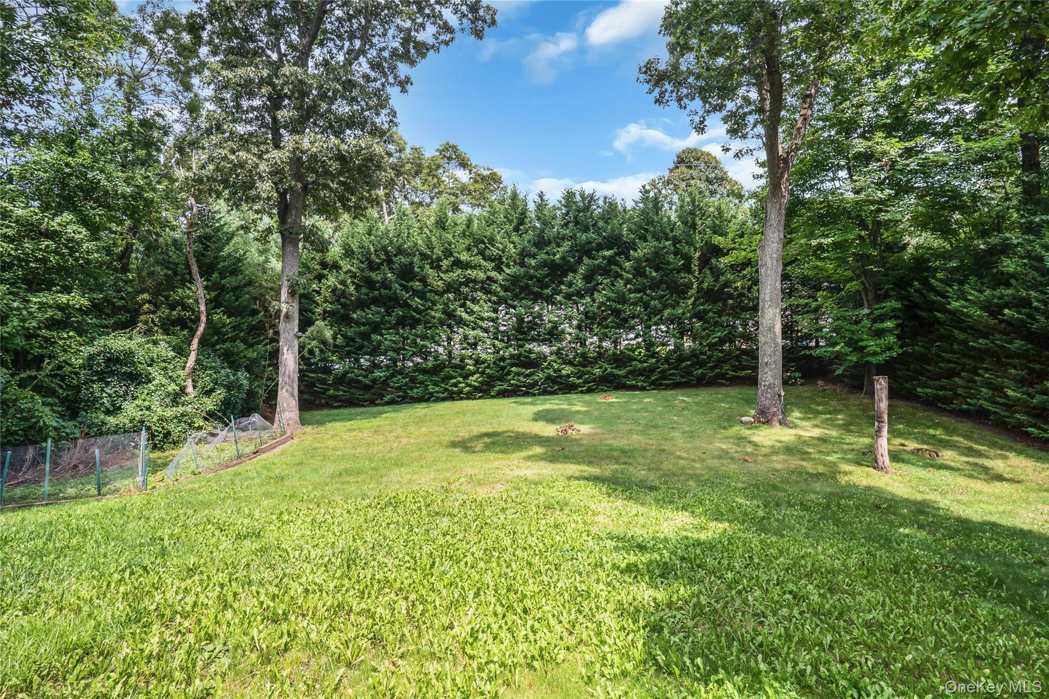 48 Colby Drive – For Sale photo 49