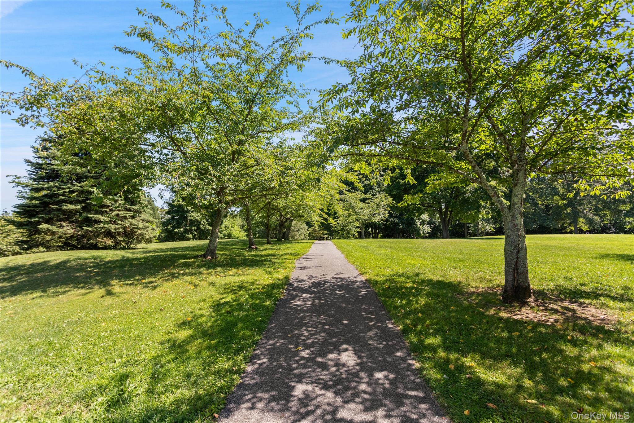 5 Hidden Pond Drive – For Sale photo 38