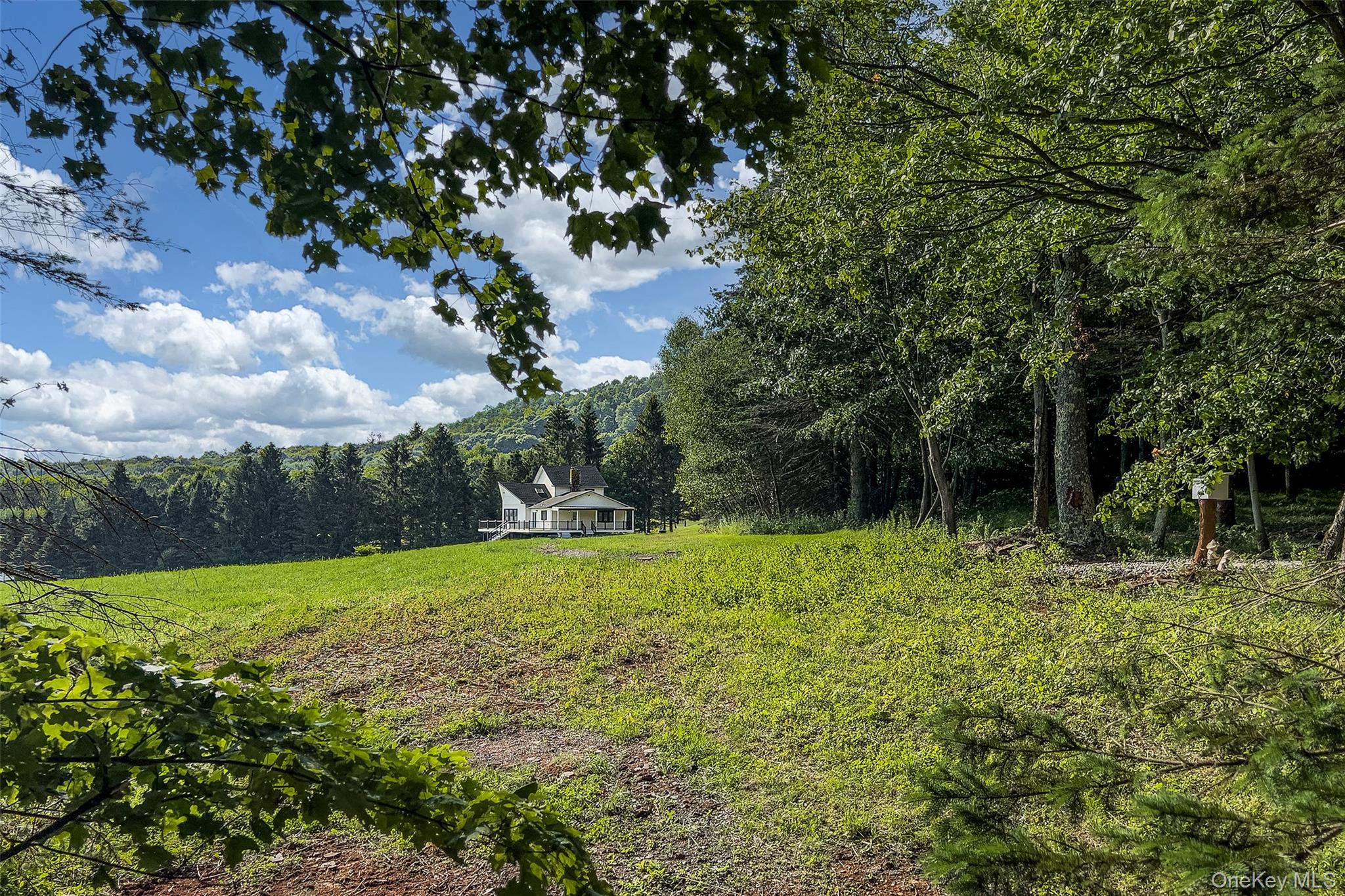 1534 Brownell Road – For Sale photo 46