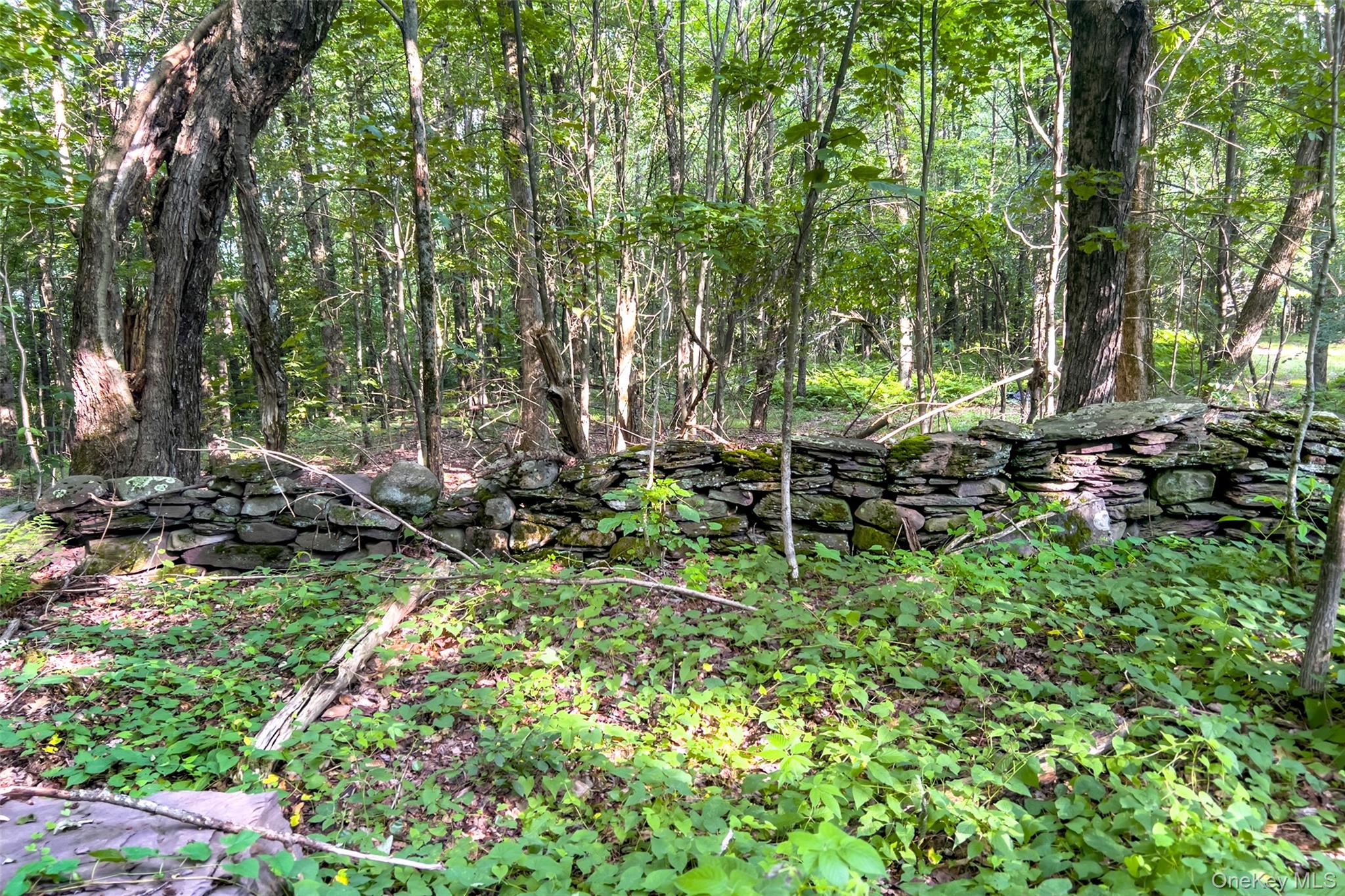 1534 Brownell Road – For Sale photo 48