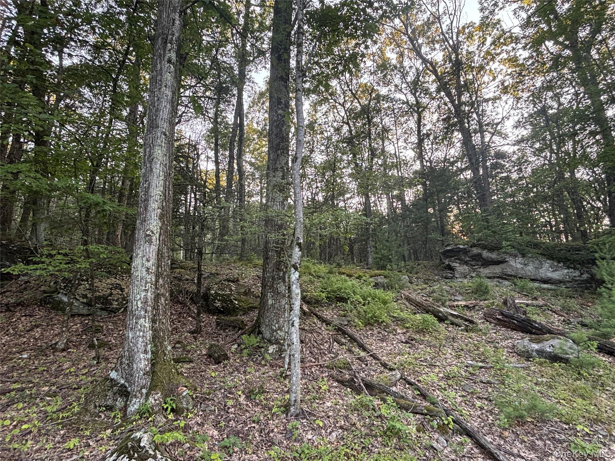 High Point Mountain Road – For Sale photo 9