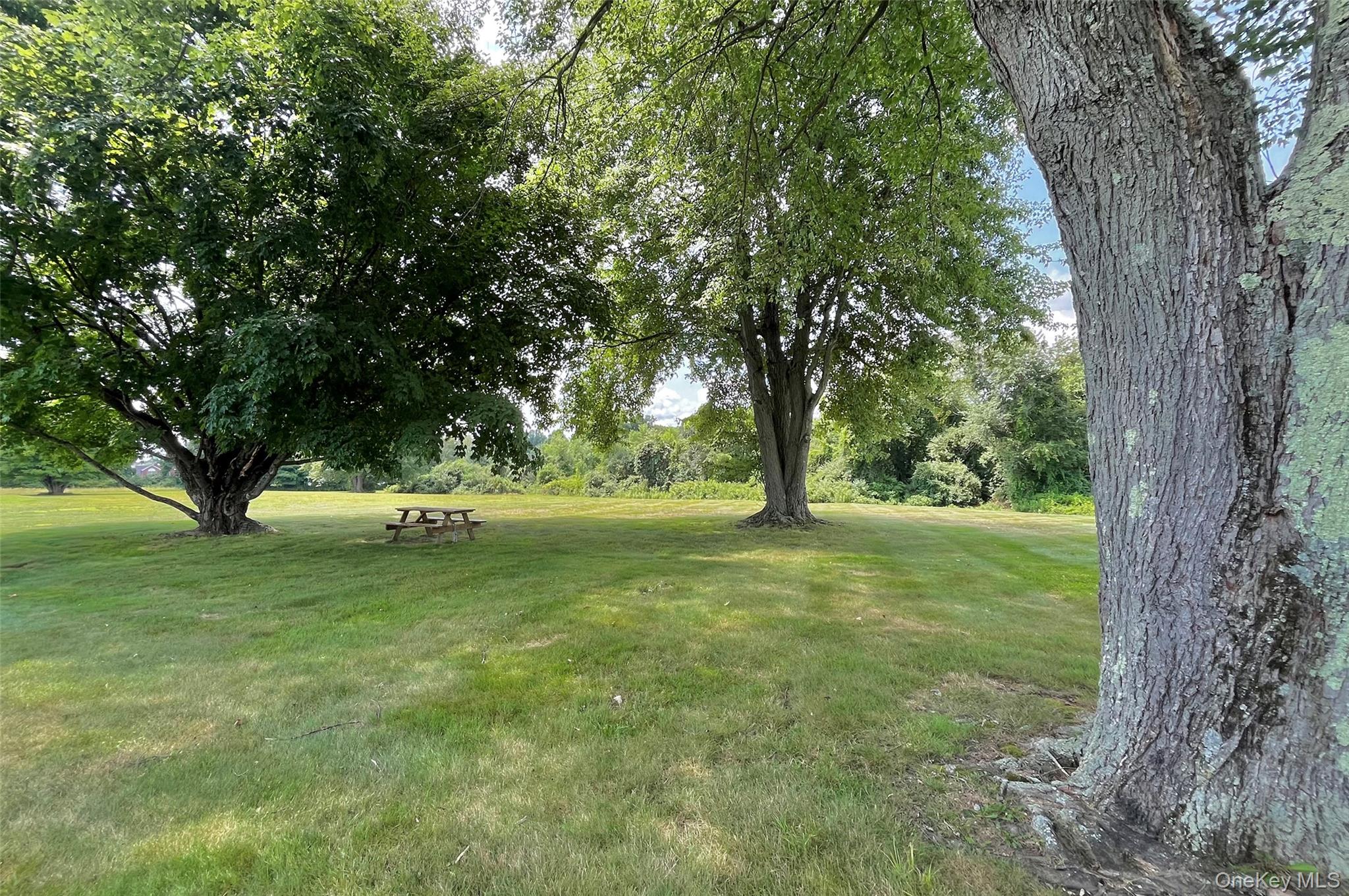 172 Fairway Drive, Unit U172 photo 49