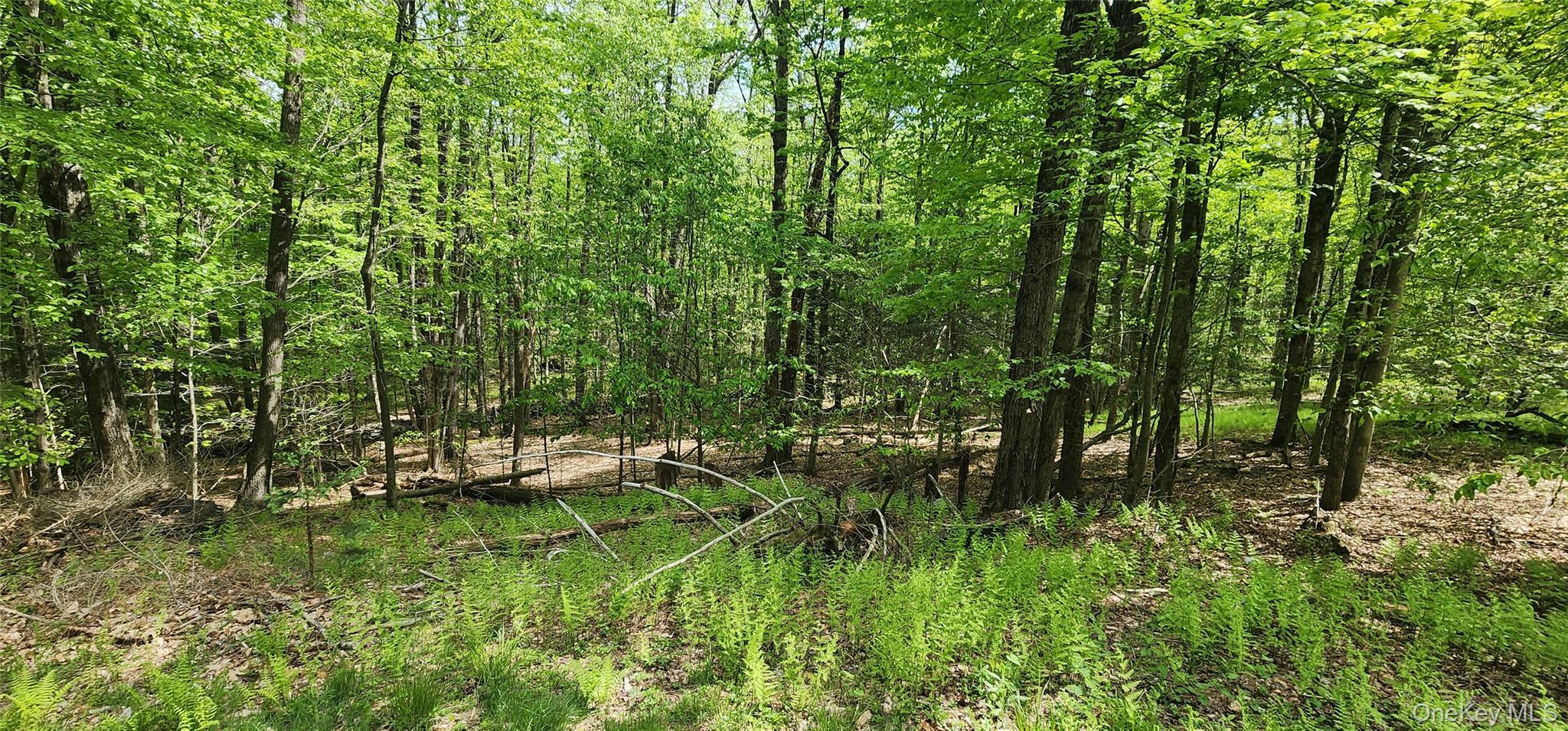 1433 County Route 56 Lane – For Sale photo 15