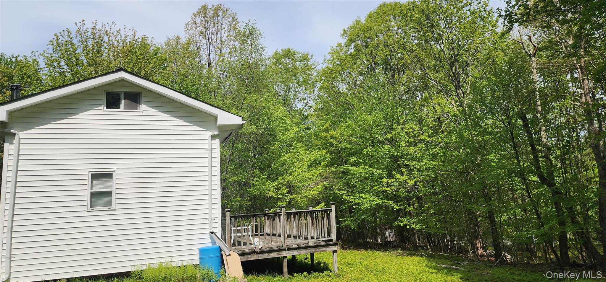 1433 County Route 56 Lane – For Sale photo 2