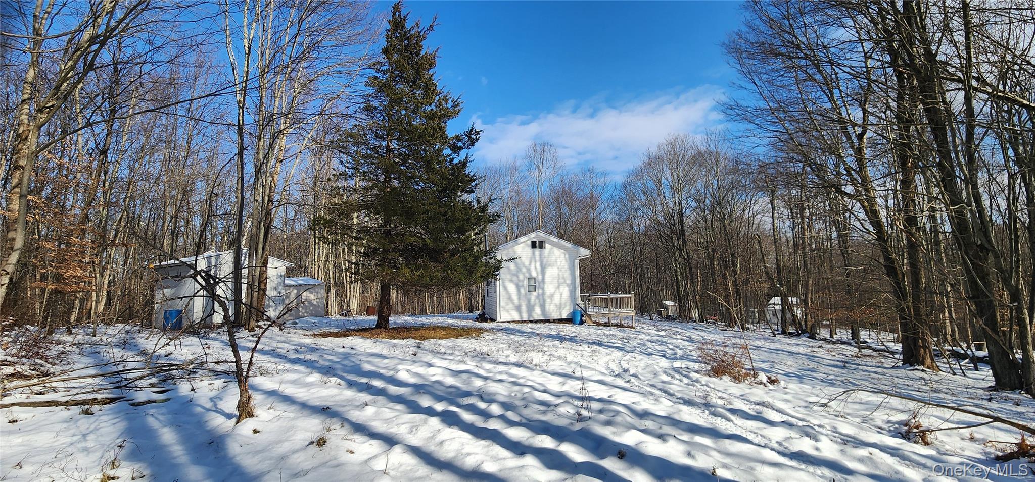 1433 County Route 56 Lane – For Sale photo 21