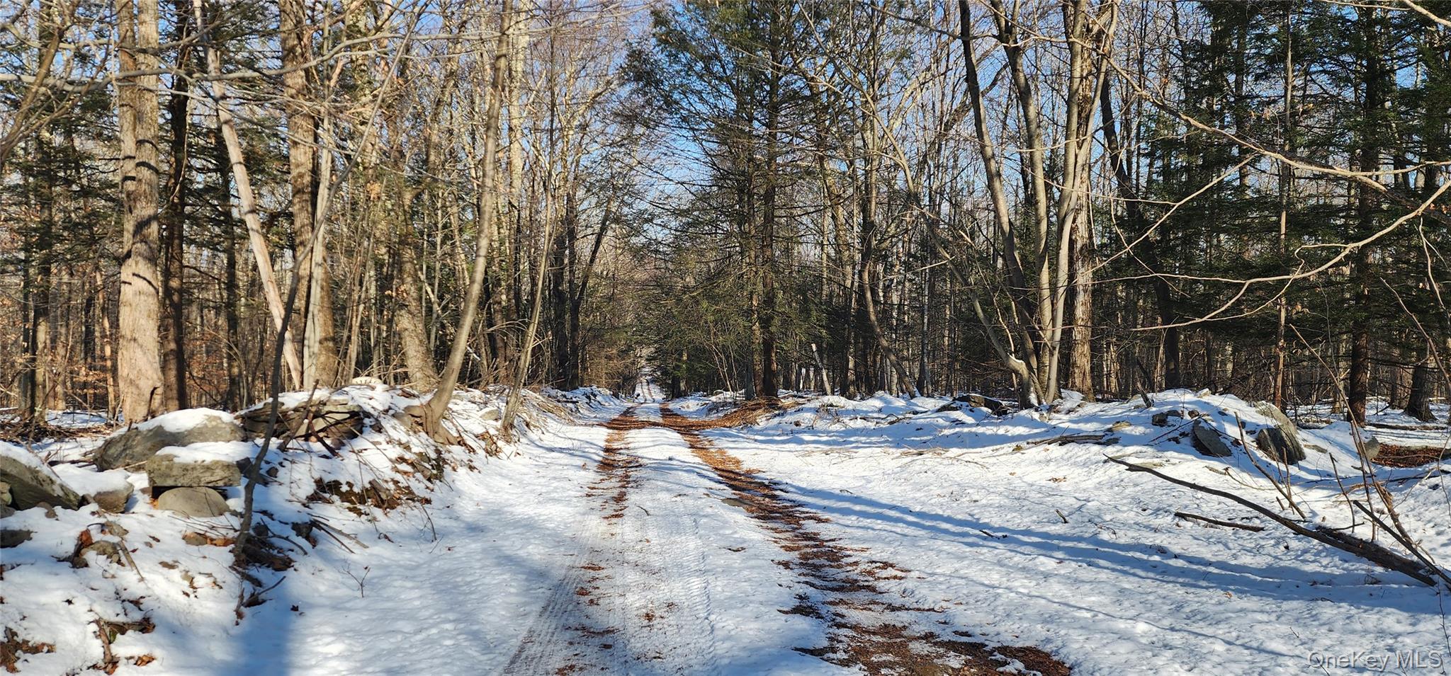 1433 County Route 56 Lane – For Sale photo 26