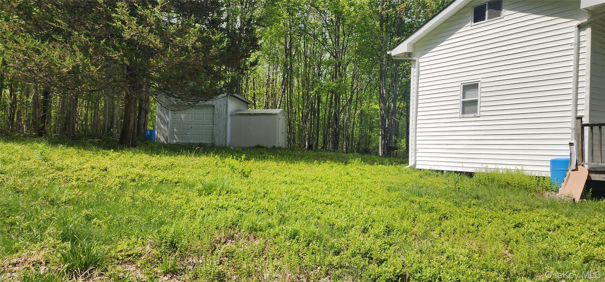 1433 County Route 56 Lane – For Sale photo 3