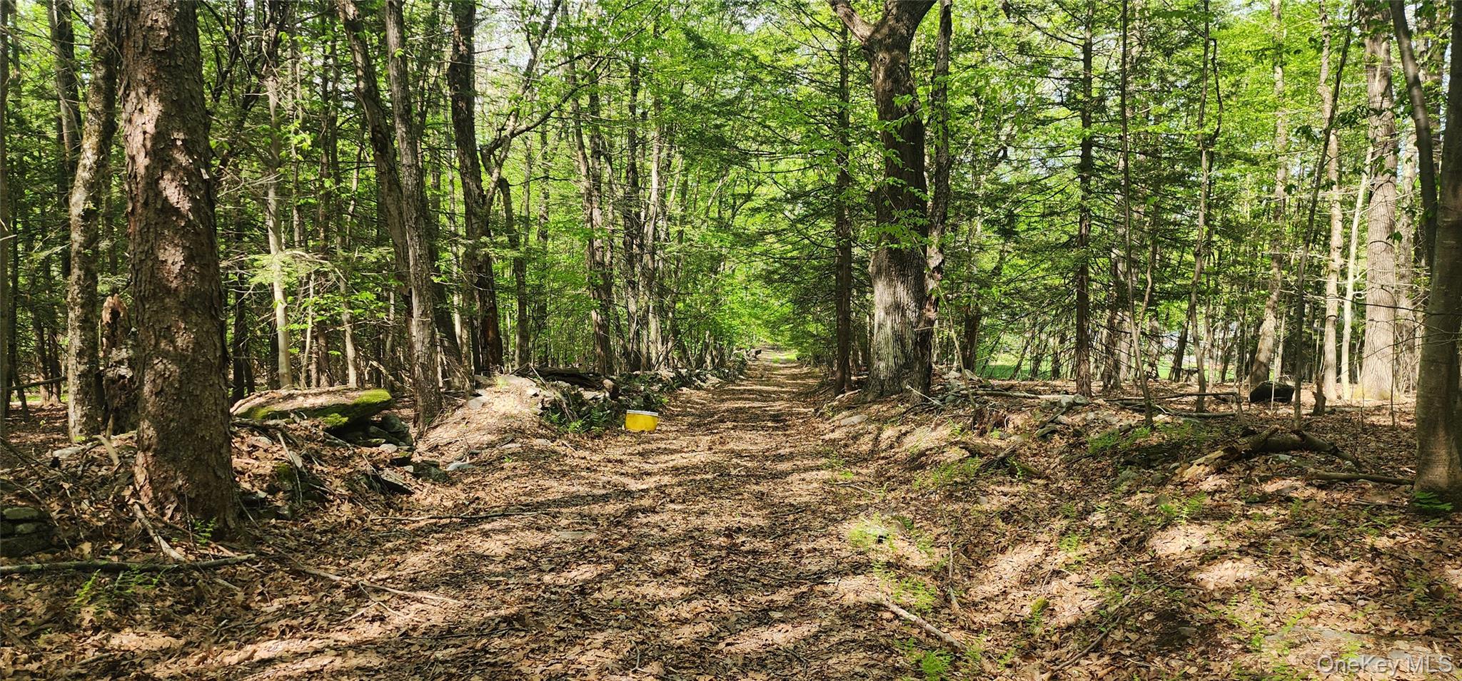 1433 County Route 56 Lane – For Sale photo 12