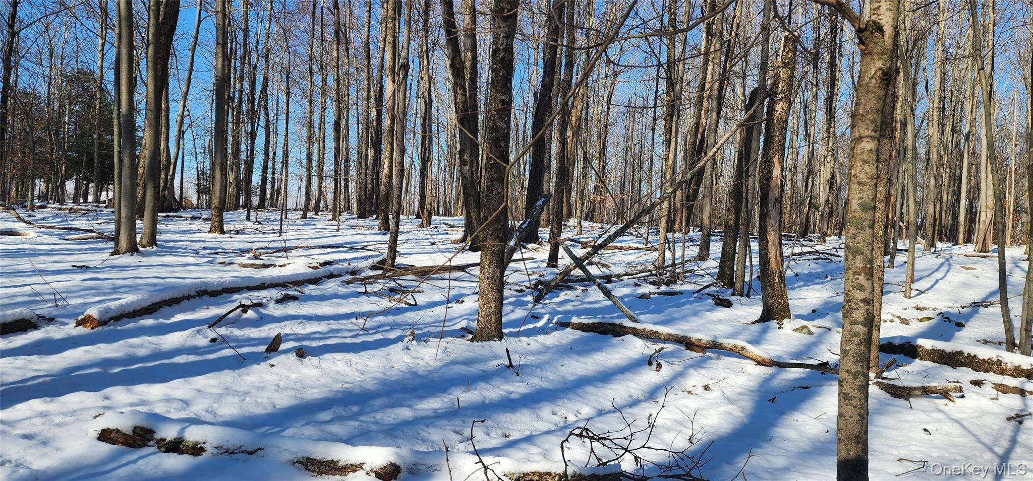 1433 County Route 56 Lane – For Sale photo 23