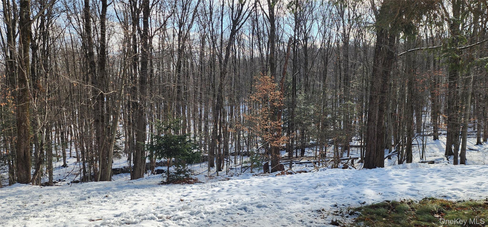 1433 County Route 56 Lane – For Sale photo 27