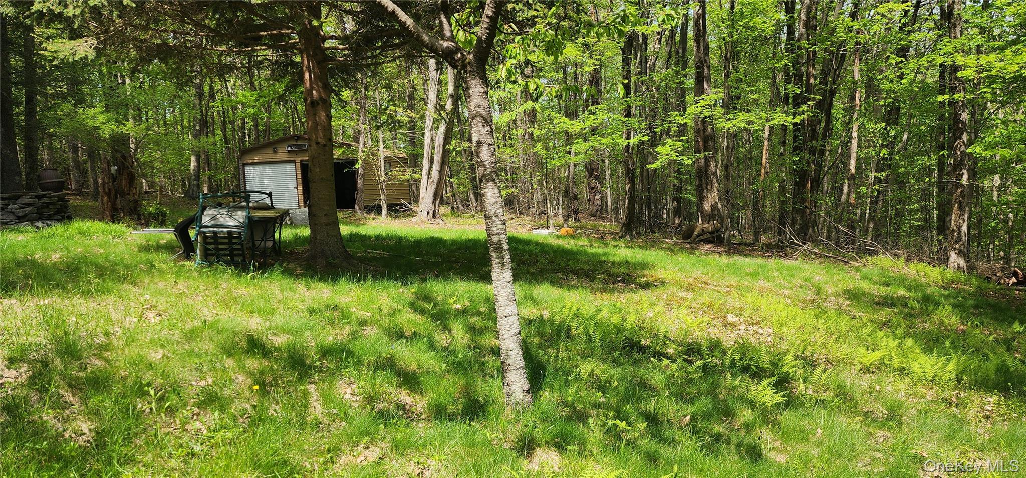 1433 County Route 56 Lane – For Sale photo 5