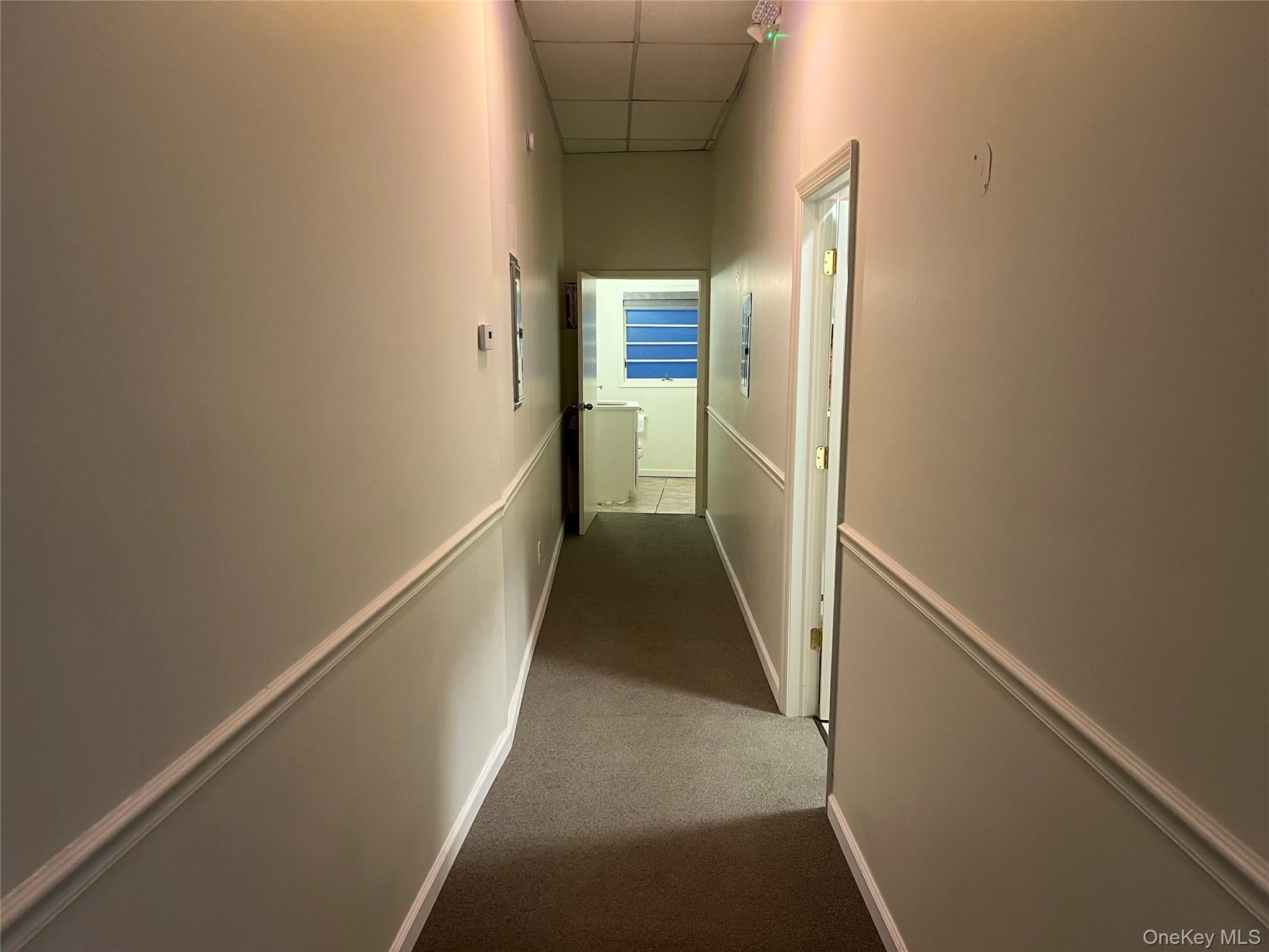 2-8 A Forest Avenue, Unit 5 photo 8