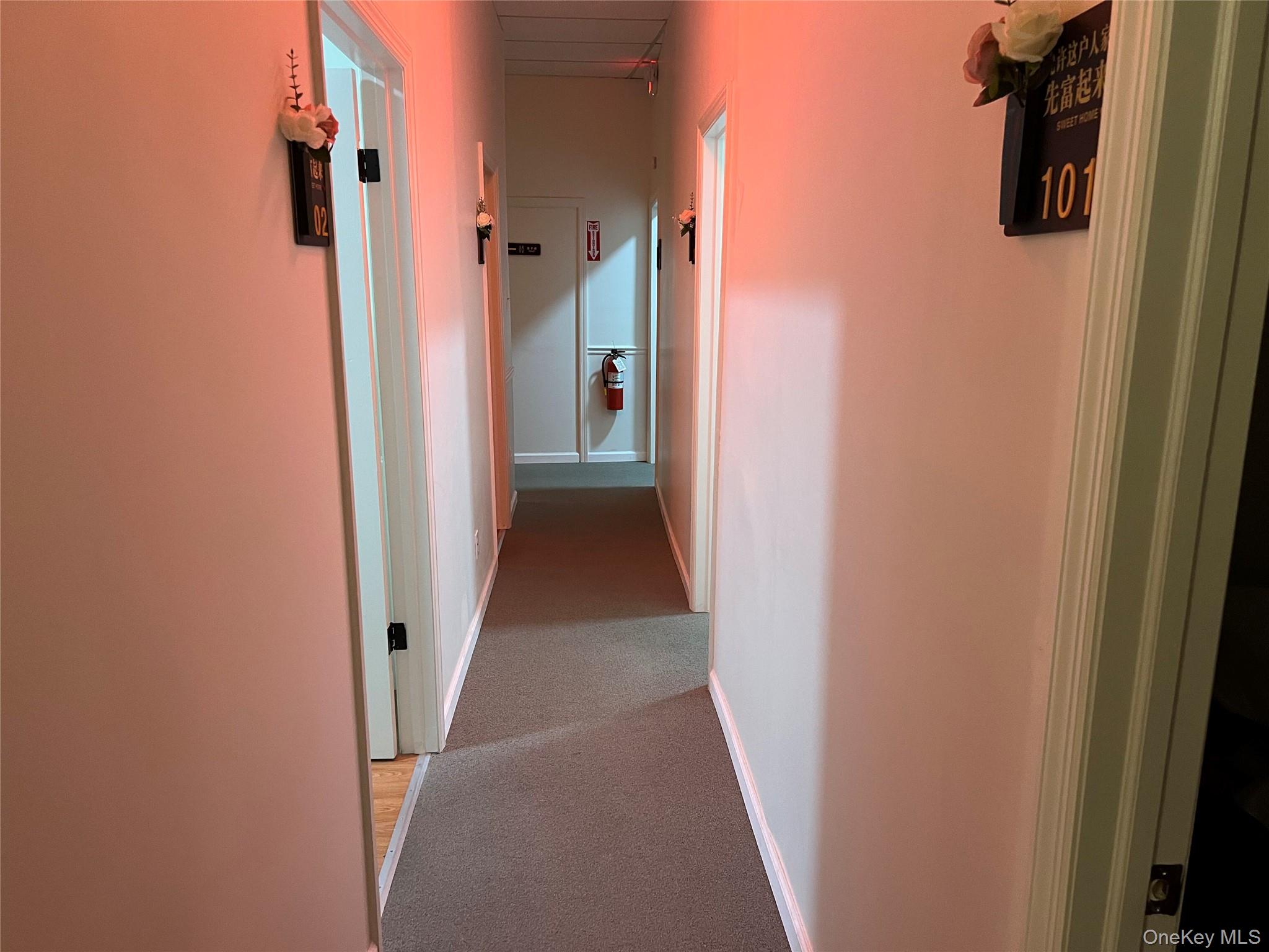 2-8 A Forest Avenue, Unit 5 photo 11