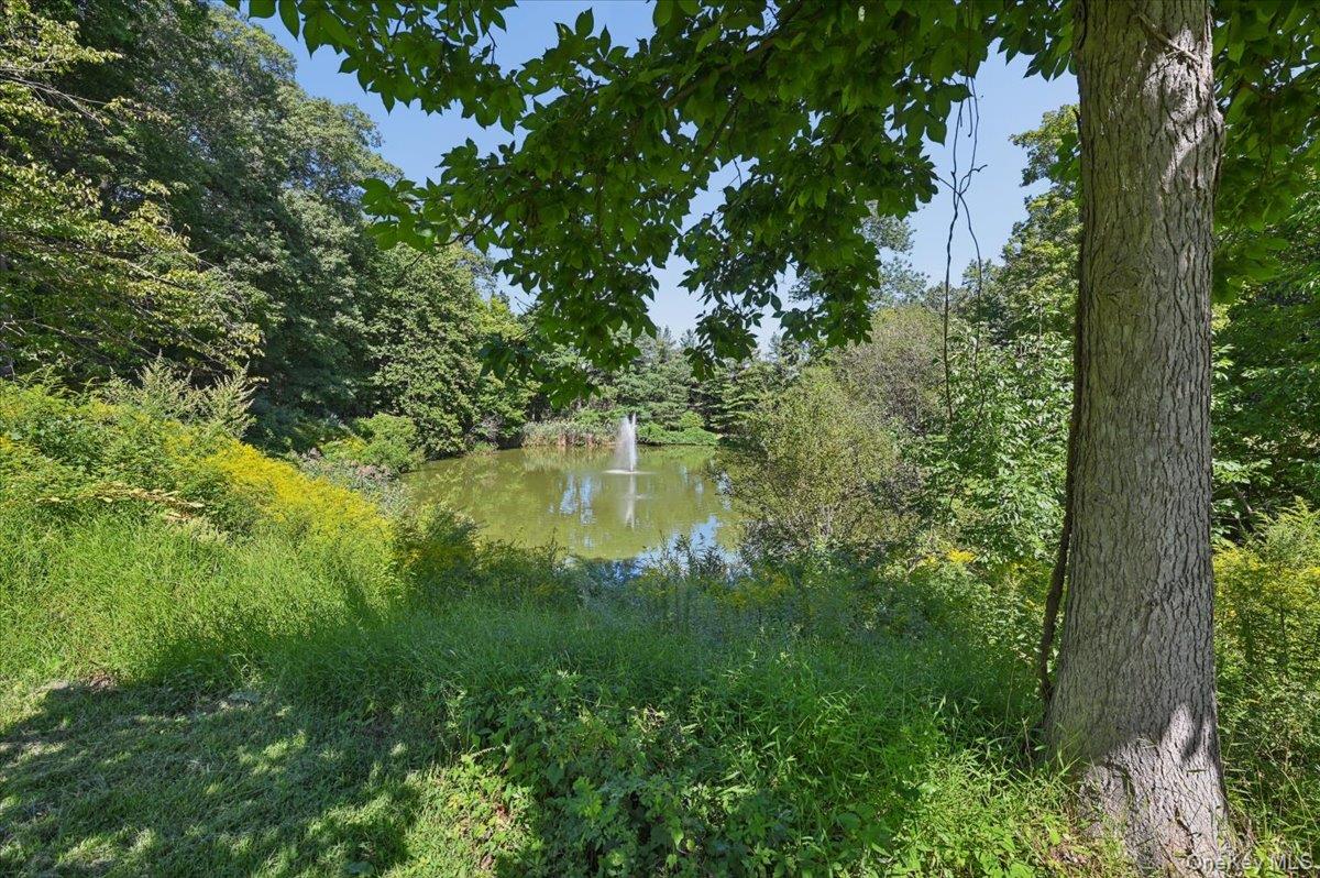 37 Clarewood Drive – For Sale photo 32