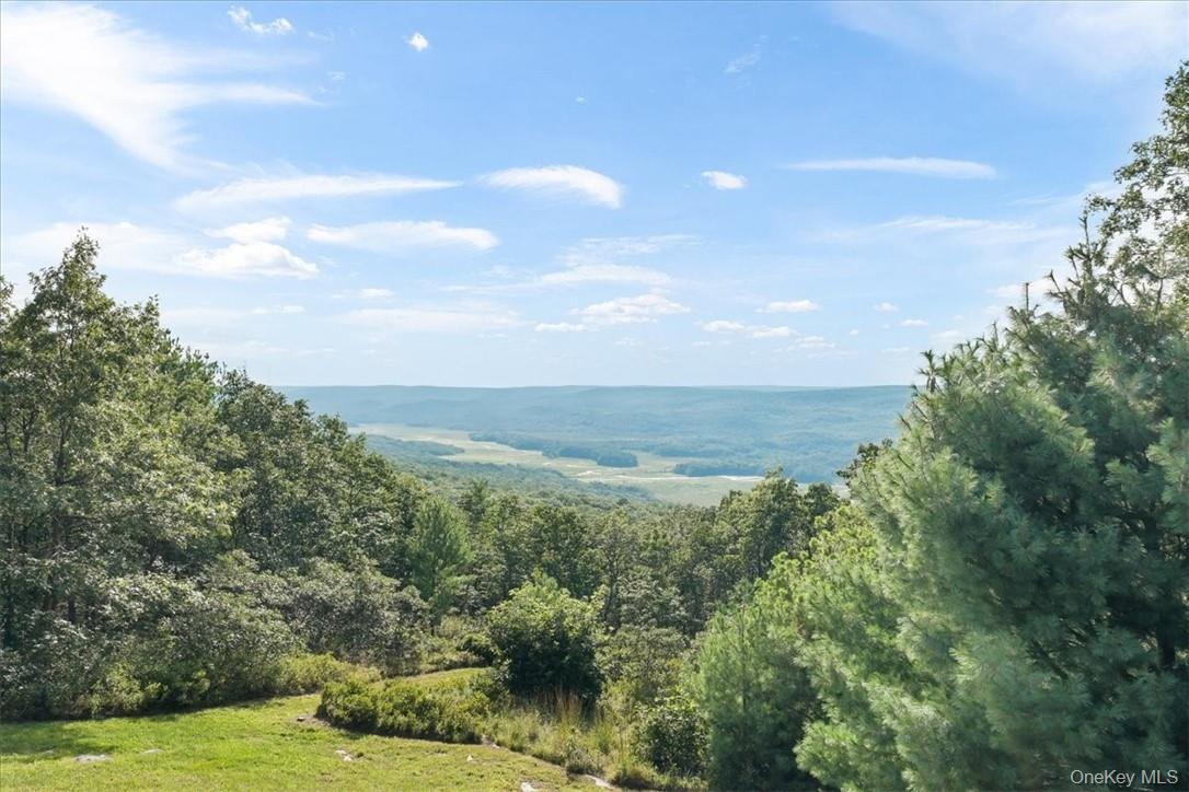96 Treetops Trail – For Sale photo 23