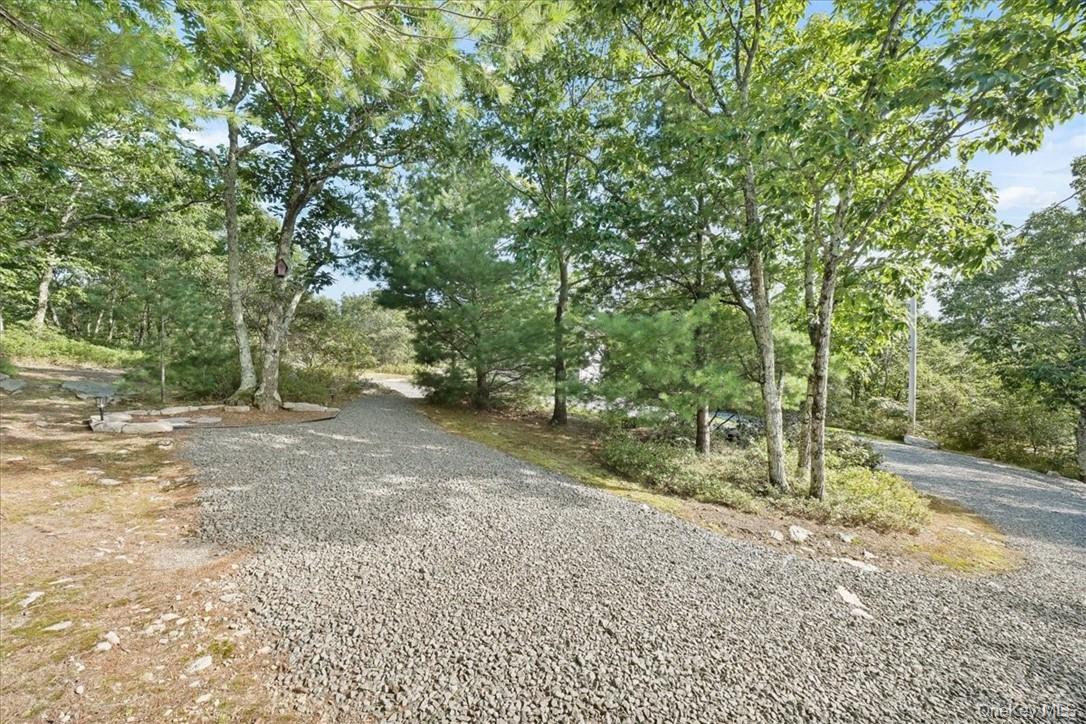 96 Treetops Trail – For Sale photo 25