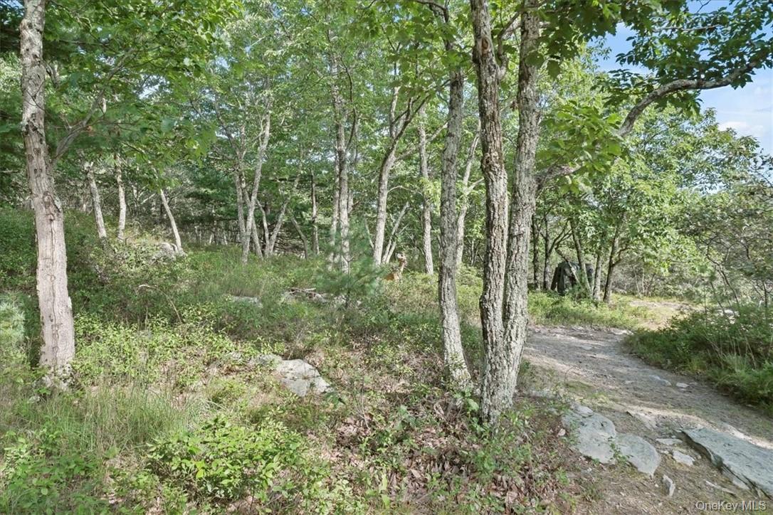 96 Treetops Trail – For Sale photo 31