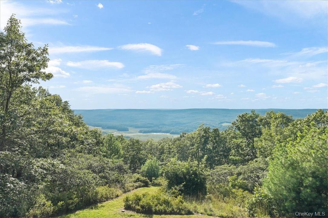 96 Treetops Trail – For Sale photo 29