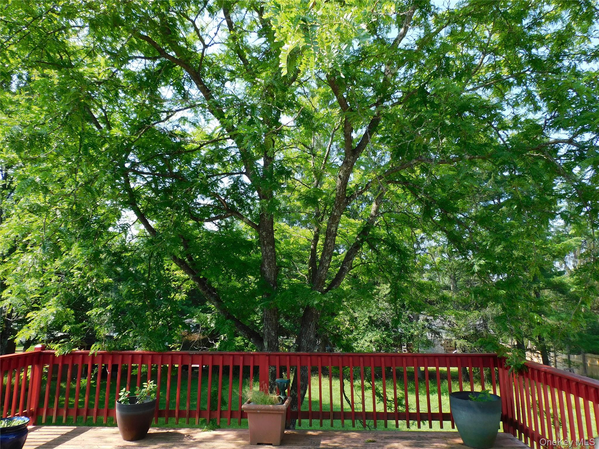30 Kelly Avenue – For Sale photo 4