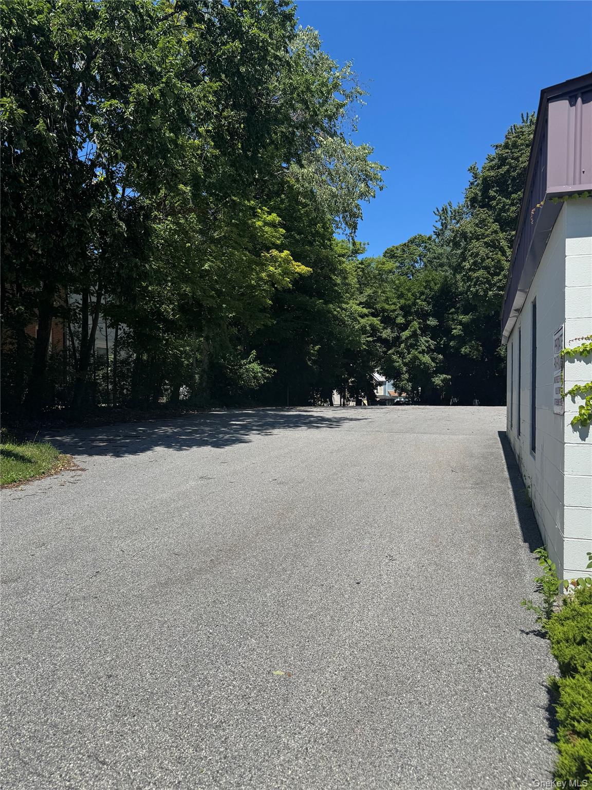 129 Wickham Avenue, Unit 1 photo 8
