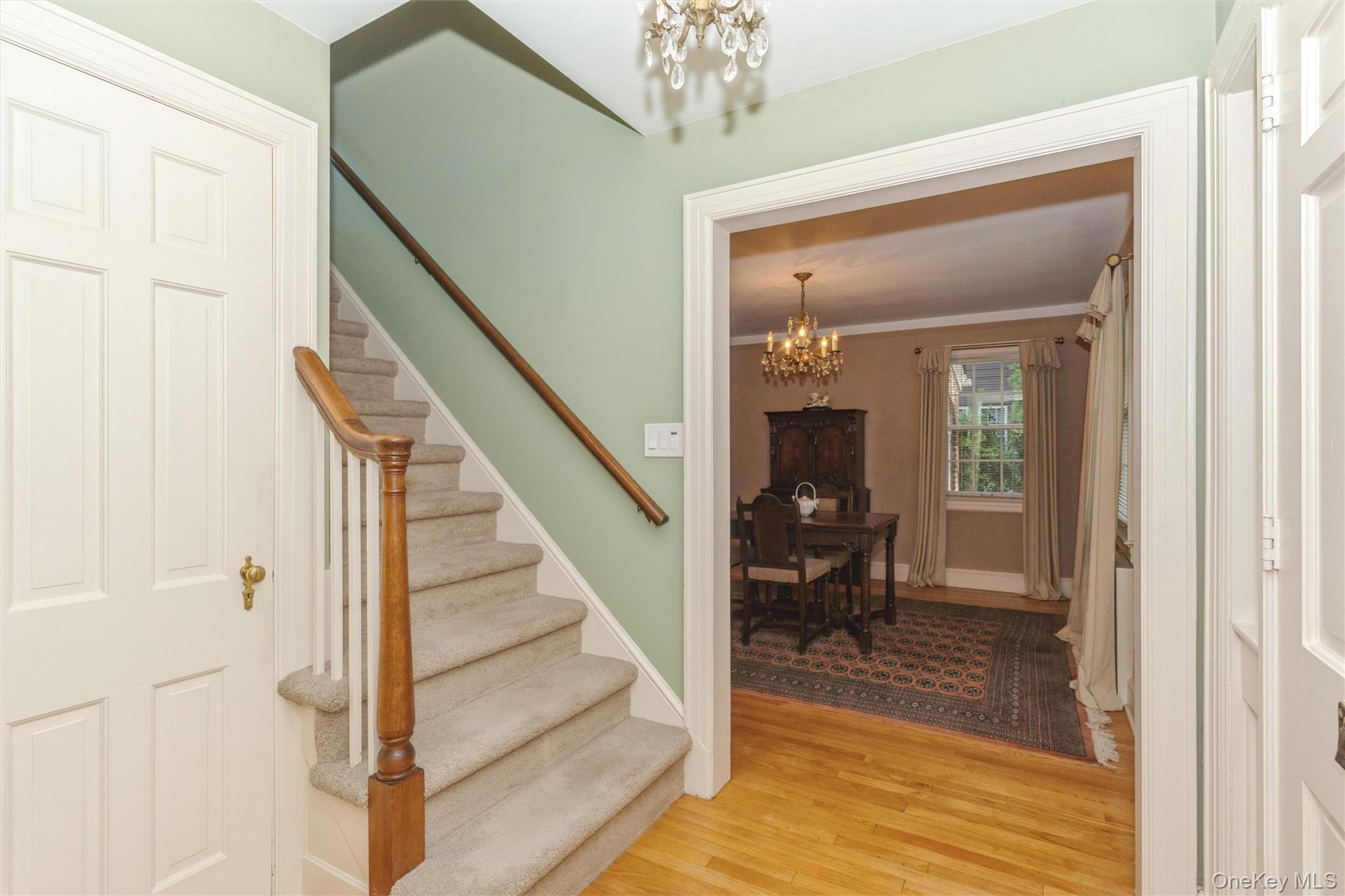 8 Orchid Street – For Sale photo 4