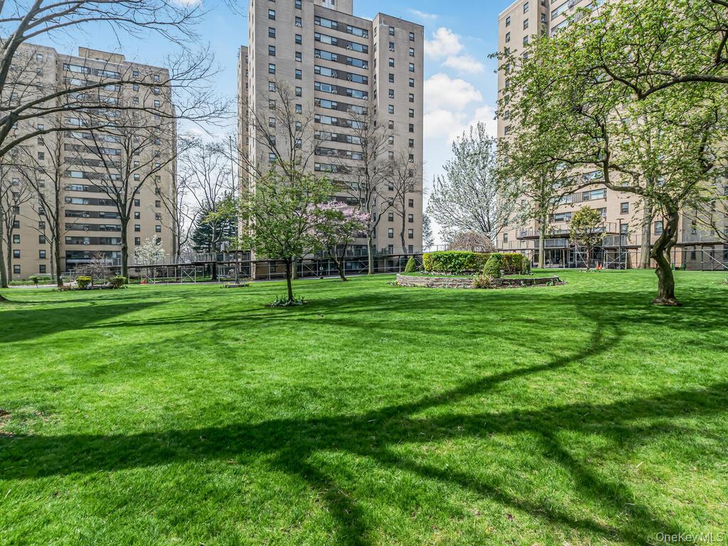 4 Fordham Hill Oval, Unit 1A photo 19