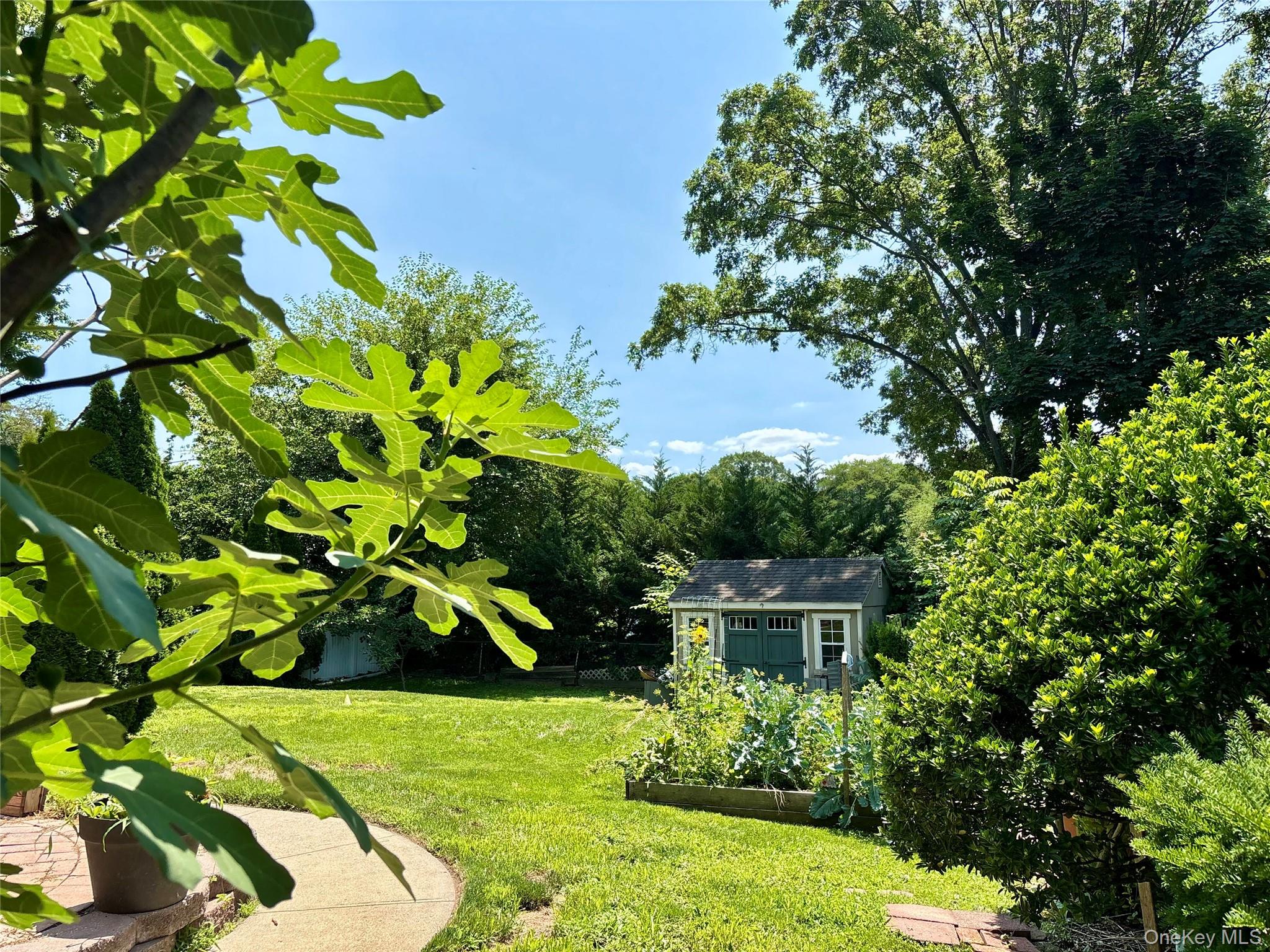 17 Alex Lane – For Rent photo 4