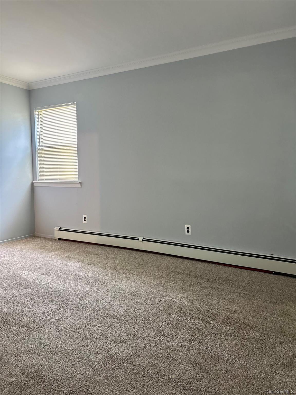17 Alex Lane – For Rent photo 16