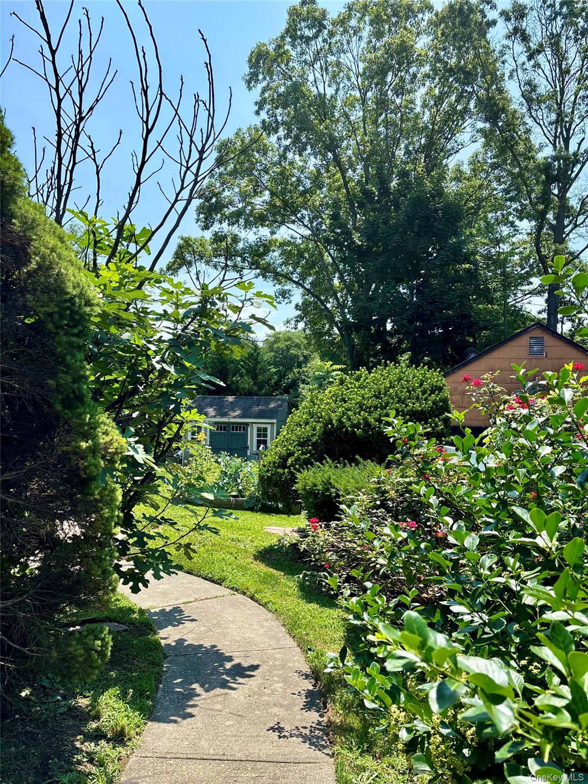 17 Alex Lane – For Rent photo 3