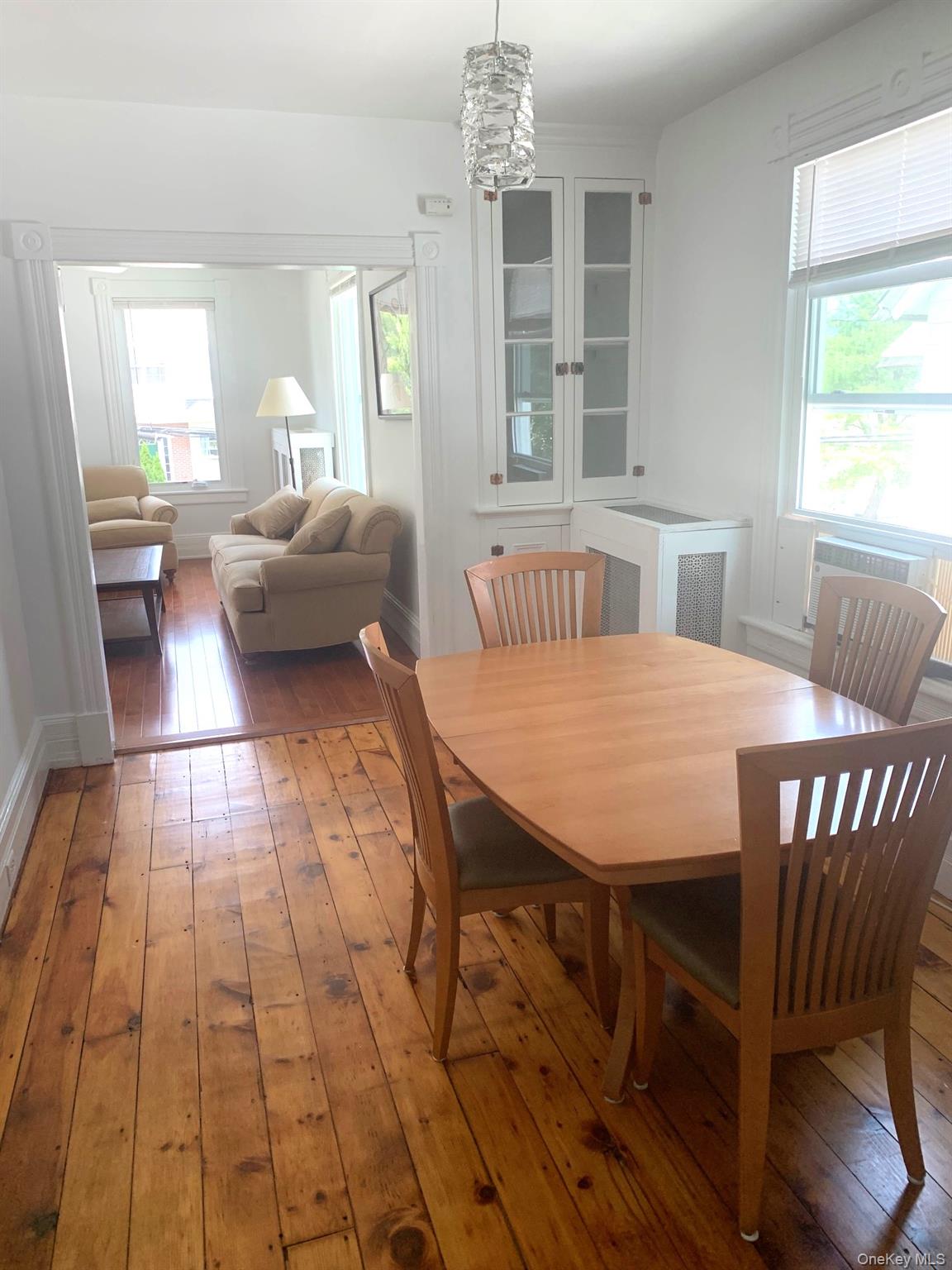 61 Schenck Avenue – For Sale photo 17