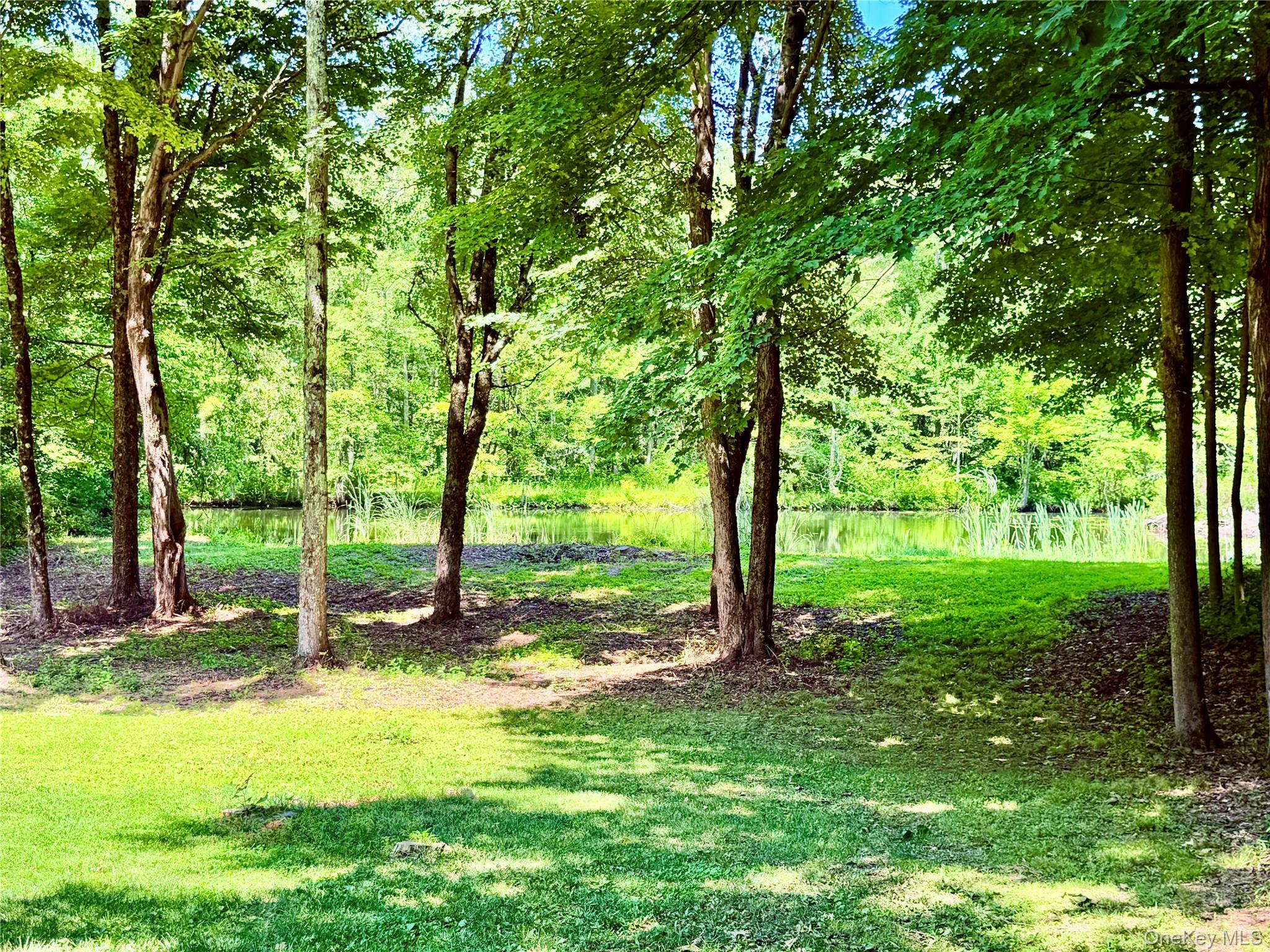 126 Carter Road – For Rent photo 32