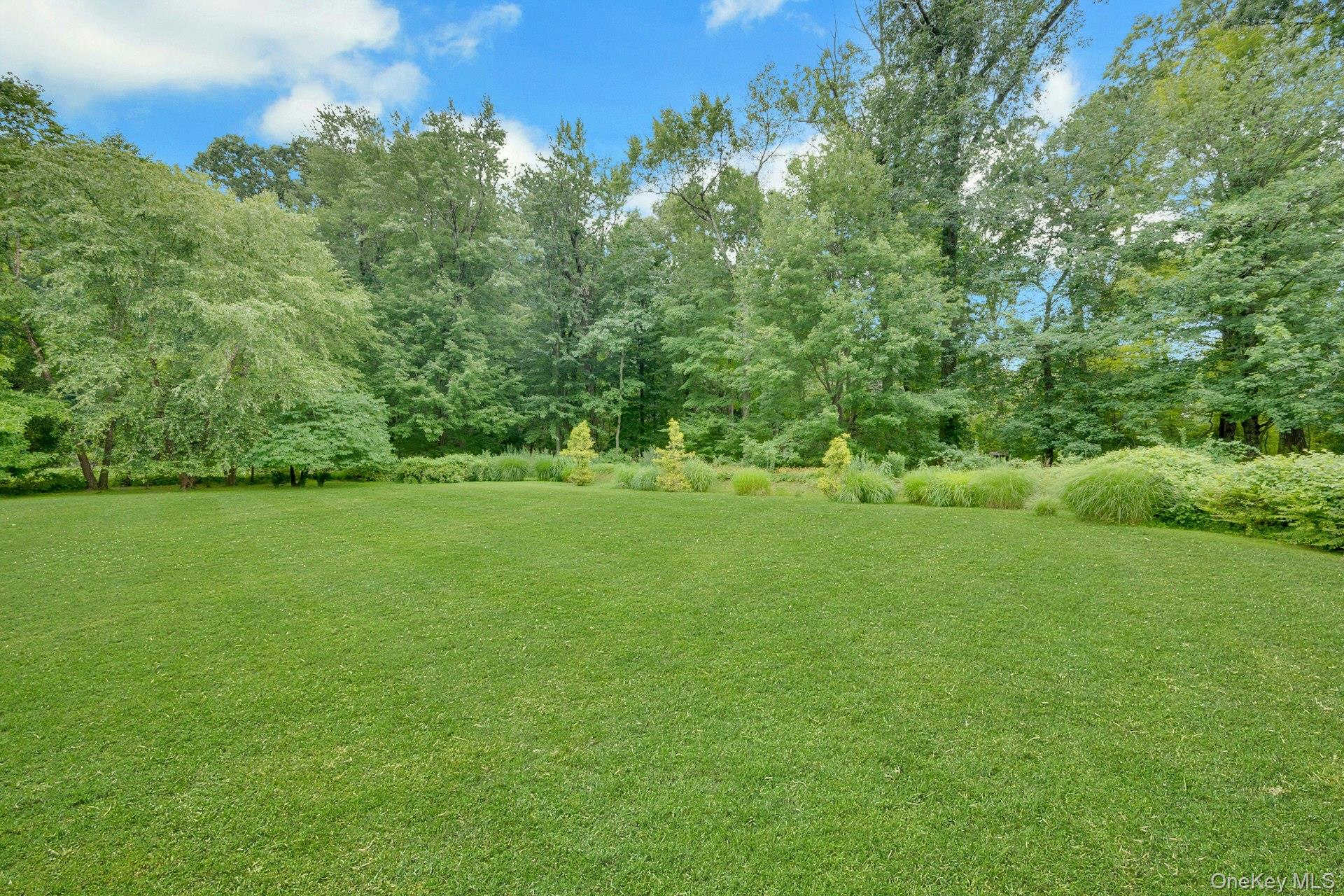 107 Holly Place – For Rent photo 32