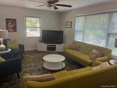 1661 Old Country Road, Unit 17 photo 8