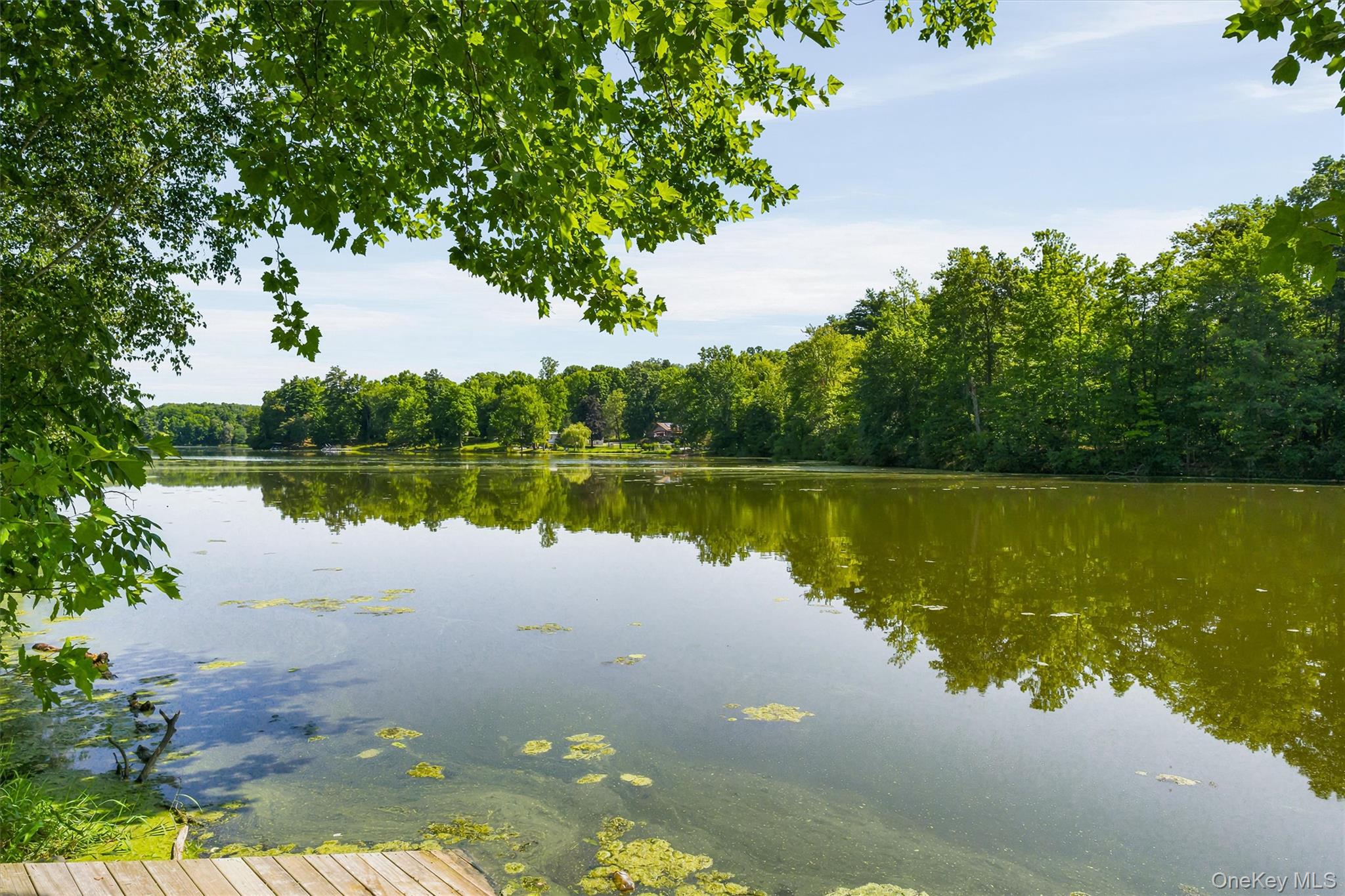 136 Lake Road – For Sale photo 37