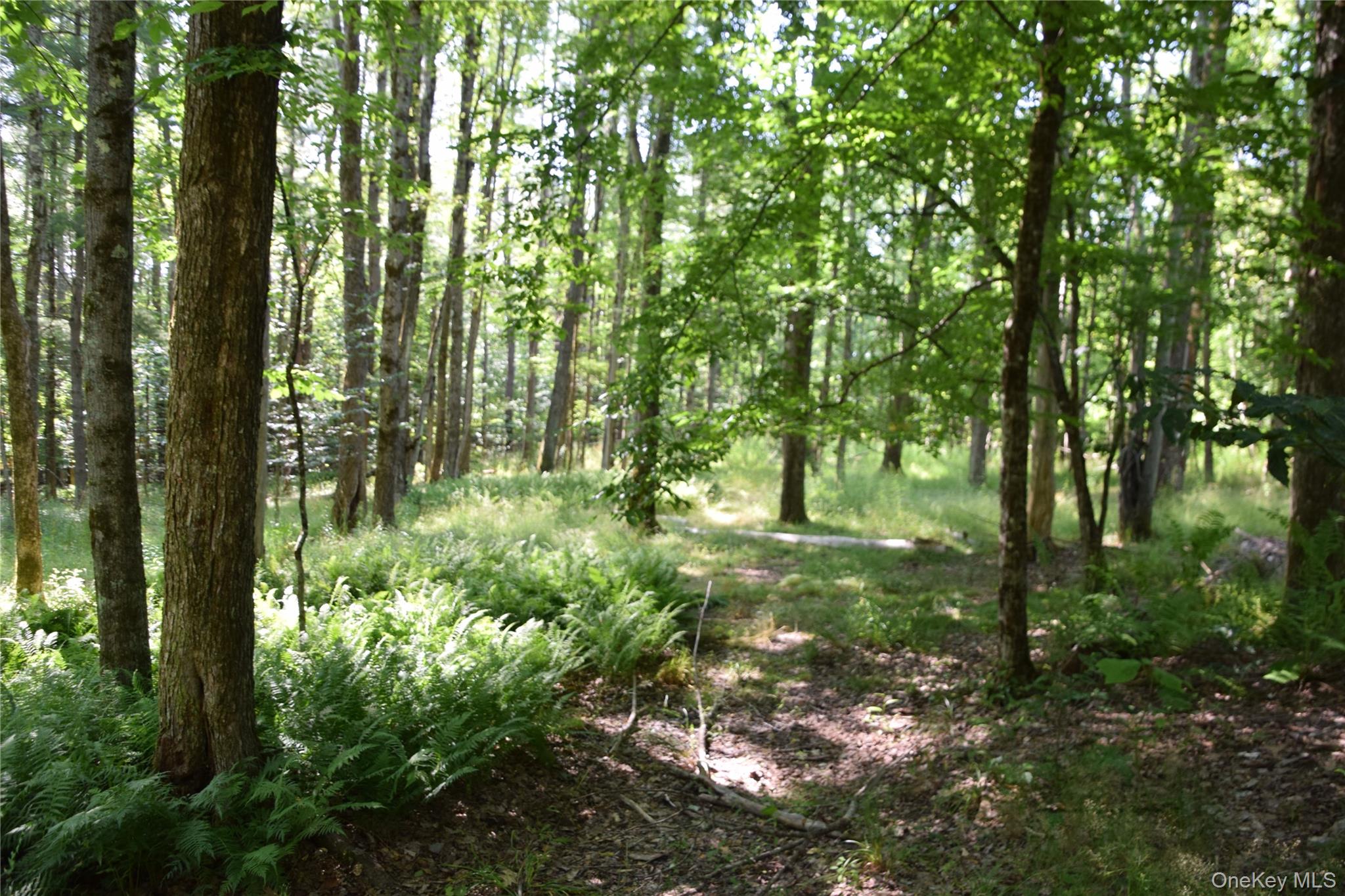 41 West Shore Drive – For Sale photo 39