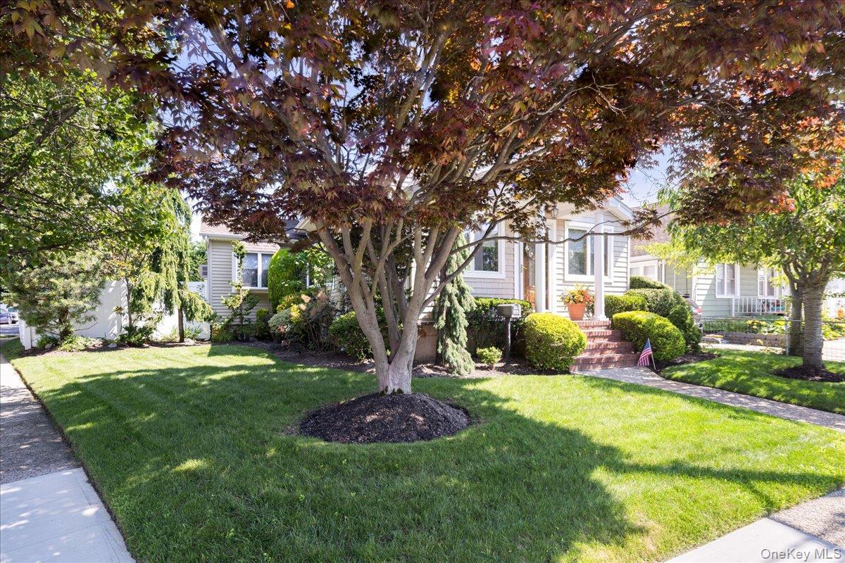 714 Wyckoff Avenue – For Sale photo 2