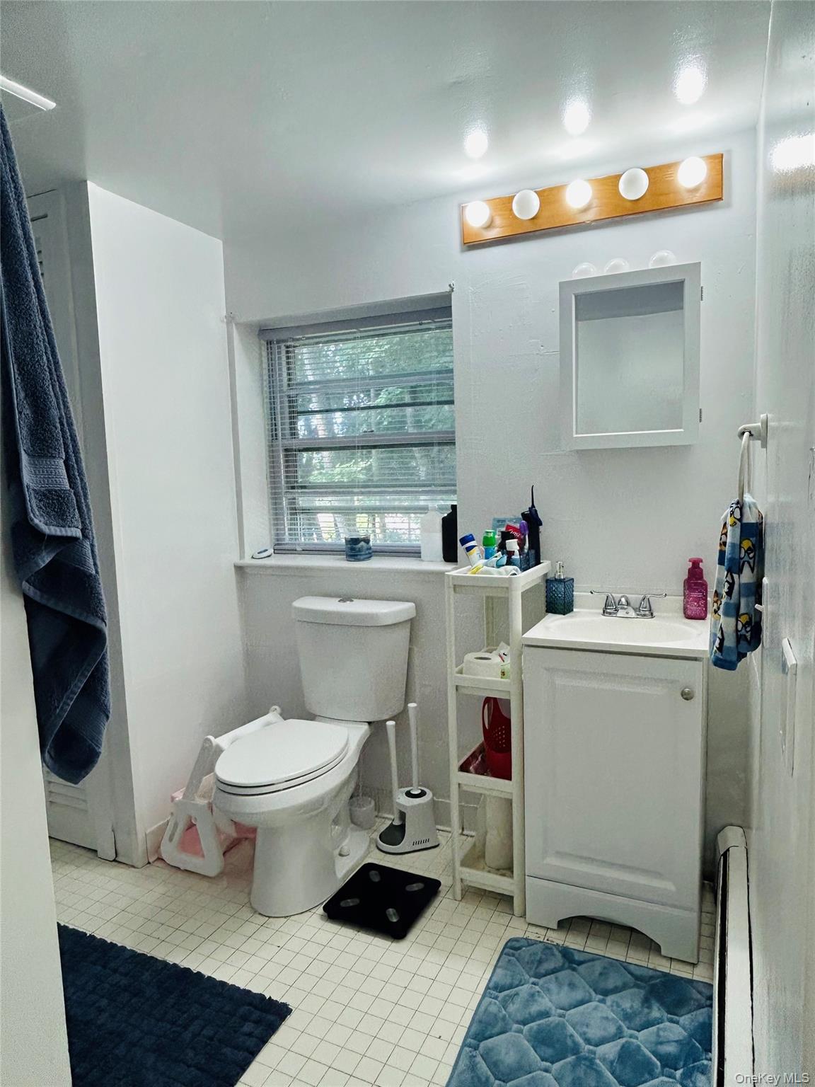 147 Westminster Drive – For Sale photo 35