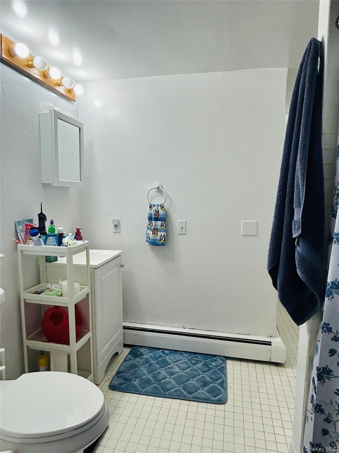 147 Westminster Drive – For Sale photo 36