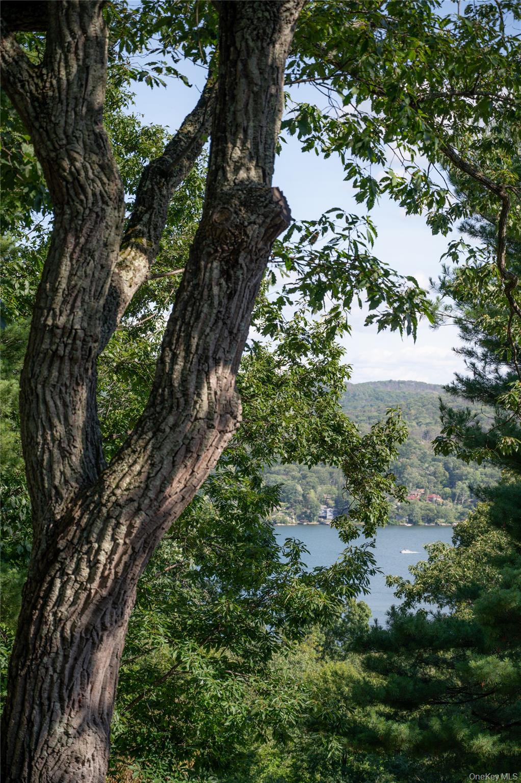 87 Blueberry Hill – For Sale photo 15