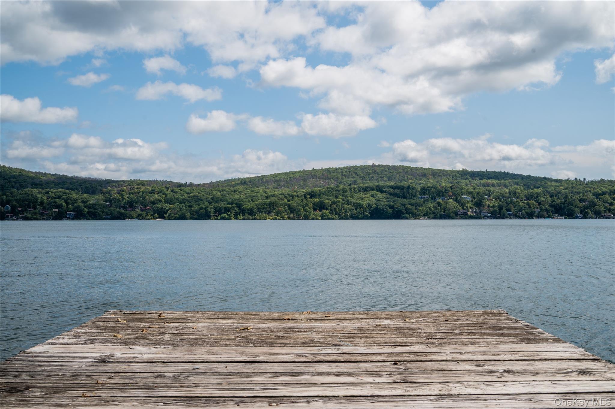 87 Blueberry Hill – For Sale photo 48