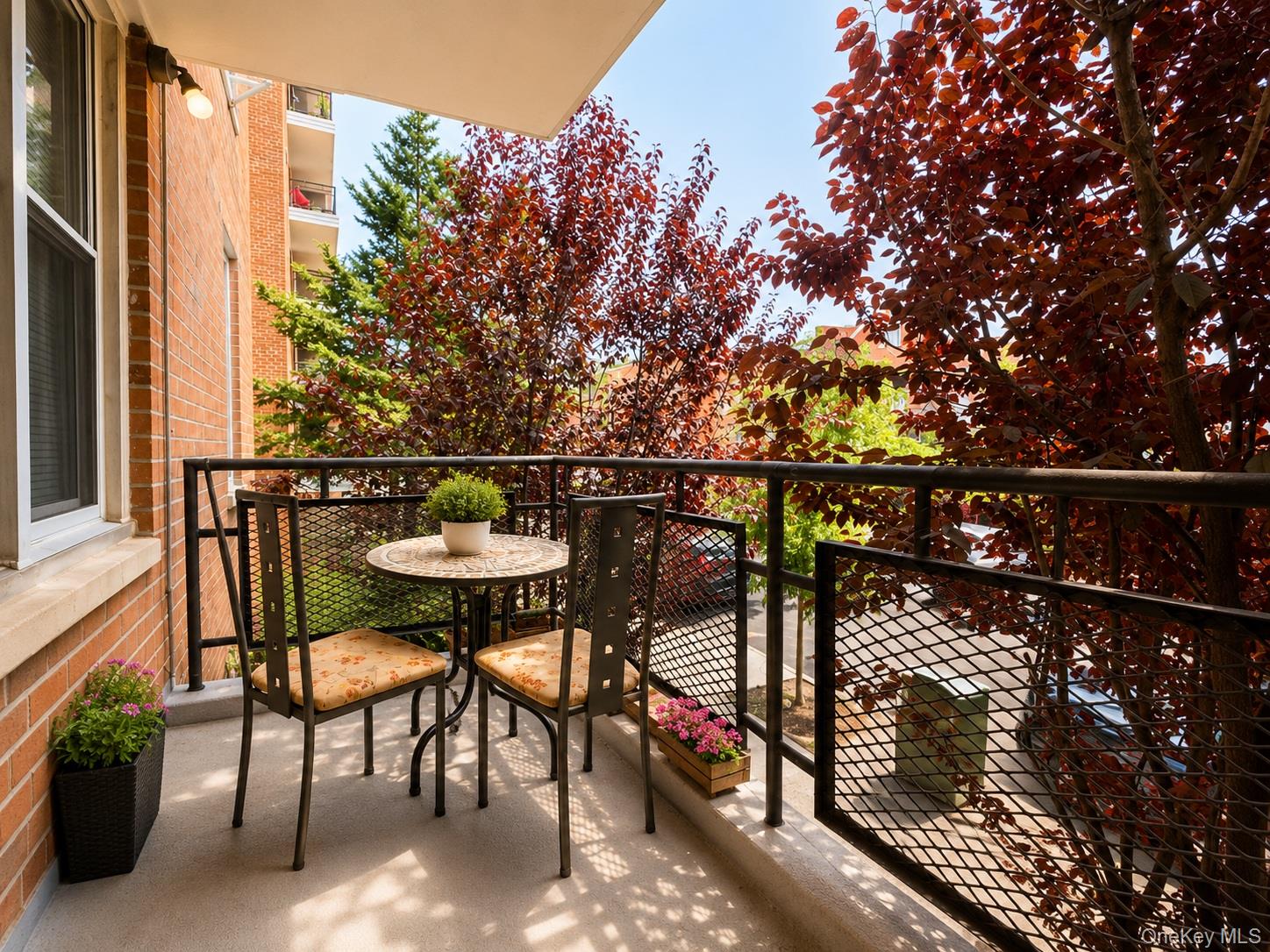 67-50 Thornton Place, Unit 1D photo 11