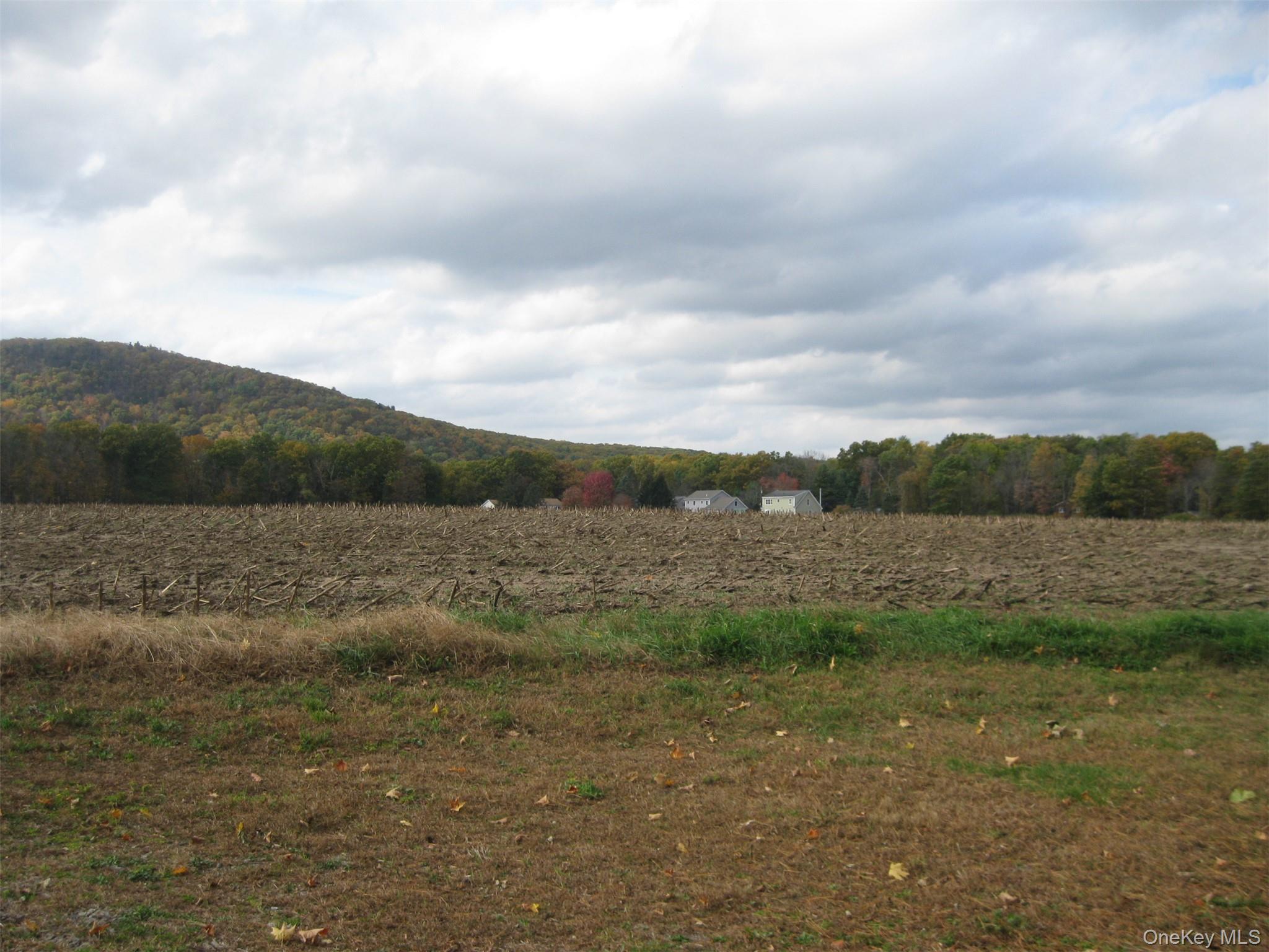 82 Lake Road – For Rent photo 34