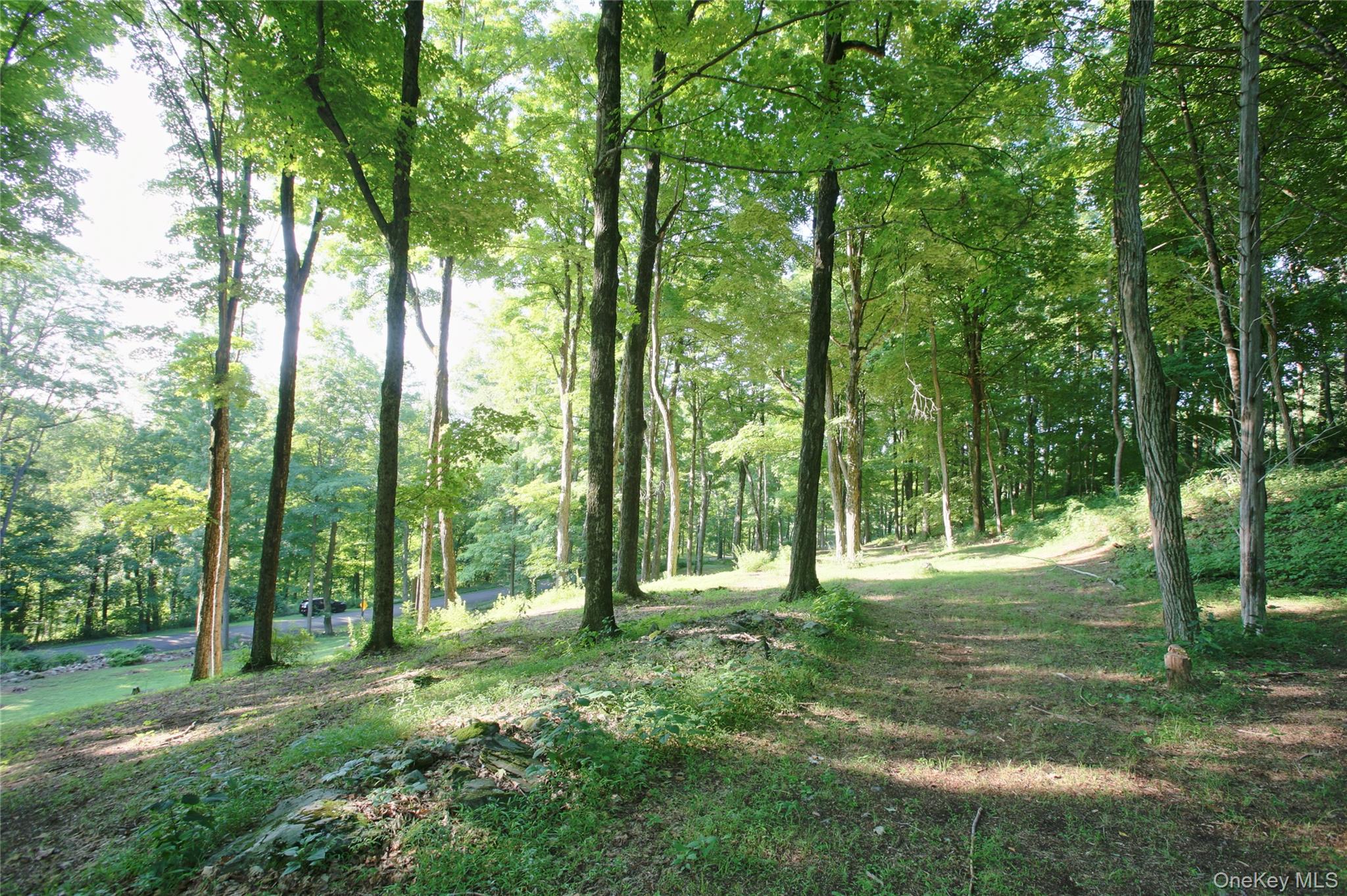 Pond Road – For Sale